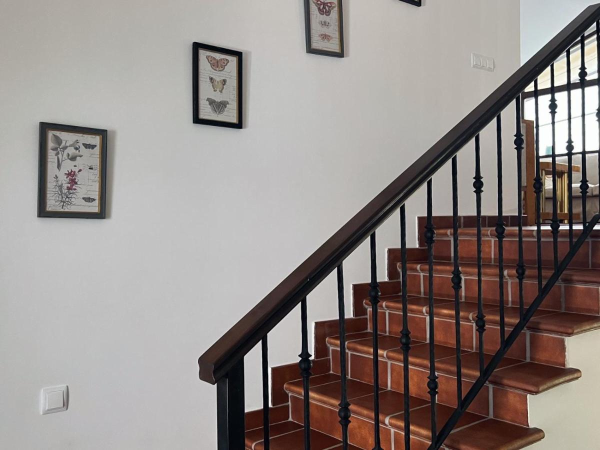 Casa Paco De Gredos Villa Arenas de San Pedro Dış mekan fotoğraf